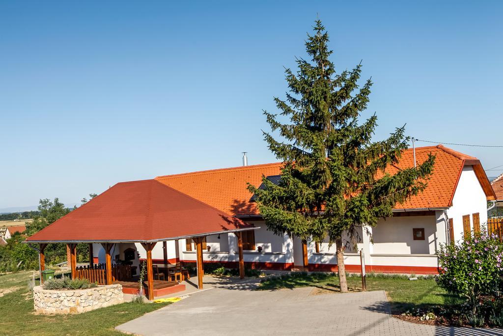Katica Vendégház Tarcal Exterior foto